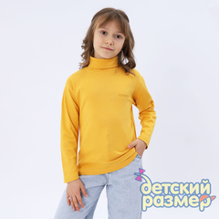 манго