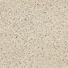 Линолеум коммерческий Profi Premium Venetto 2, 3х22м (рулон)