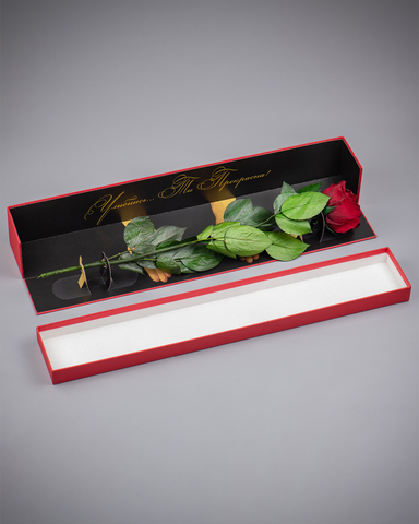 Роза Премиум в подарочной коробке(красная) комплимент .Бутон бордо.