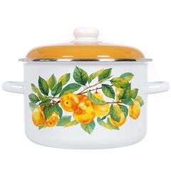 Кастрюля сталь, эмал, 5.5 л, с крыш, крышка сталь, СтальЭмаль, Грушевый сад, 6RD221M, белоснежная