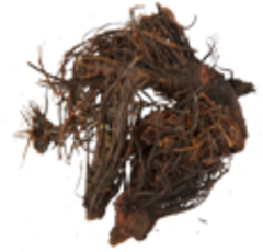 Красная щетка (цельные корни, 50гр.) (Старослав)