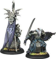 Captain Farilor & Standard Blighted Nyss Legionnaire BLI