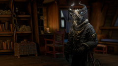 Pillars of Eternity II: Deadfire - Beast of Winter (для ПК, цифровой код доступа)