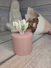 Силиконовая форма 