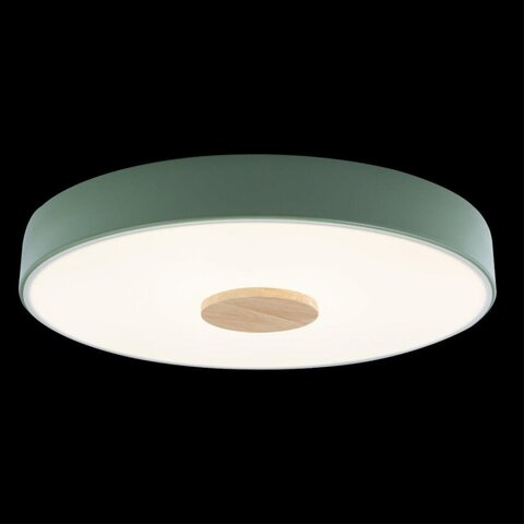 Потолочный светодиодный светильник Loft It Axel 10003/24 Green