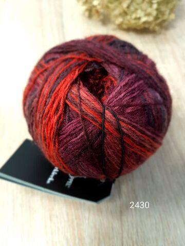 Schoppel Wunderklecks 2430