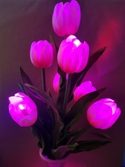 Светящиеся тюльпаны  60см