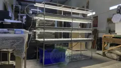 Многоярусный гидропонный стеллаж 3 яруса B1750хД2100хШ600мм до 300 растений