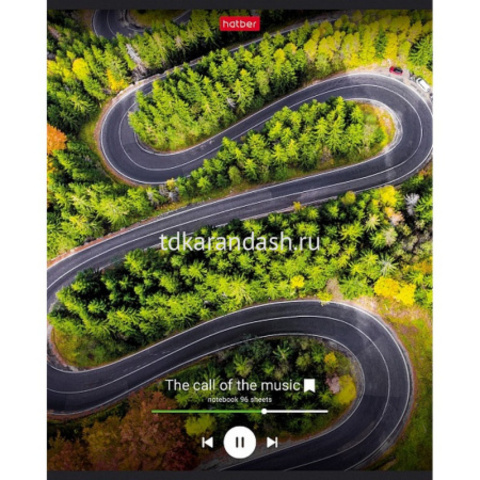 Тетрадь А5 96л клетка 