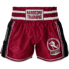 Шорты для тайского бокса Hardcore Training Base 2.0 Burgundy