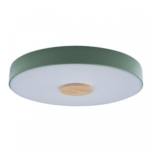 Потолочный светодиодный светильник Loft It Axel 10003/24 Green