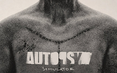 Autopsy Simulator (для ПК, цифровой код доступа)