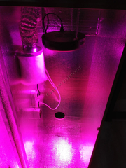 Гроубокс стелс с LED освещением с размерами 160 60 60