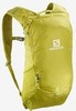 Картинка рюкзак туристический Salomon Trailblazer 10 Citronelle/Alloy - 1