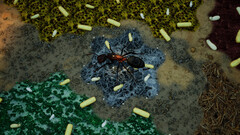 Empires of the Undergrowth - Exploding Ants (для ПК, цифровой код доступа)