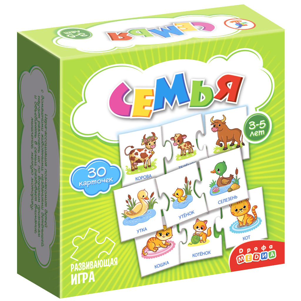 Игра развивающая Семья Дрофа (4209) – купить за 410 ₽ | Циркуль