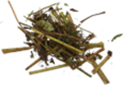 Сныть (лист и стебель)