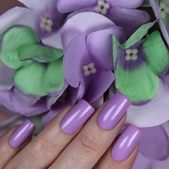 El Corazon 423/  19 active Bio-gel/Shimmer