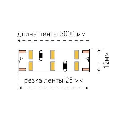 Светодиодная лента SWG 24W/m 240LED/m 3014SMD теплый белый 5M 001699