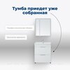 Aquanet 312423 Тумба с раковиной Ирис new 60 напольная 2 ящ. цв.белый глянец (312423)