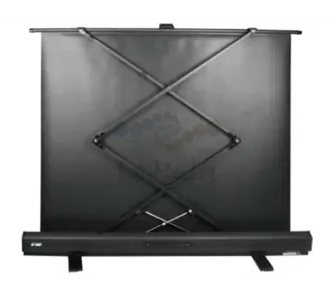 Экран Cactus 54" 68x120см FloorExpert CS-PSFLE-120X68 16:9 напольный рулонный
