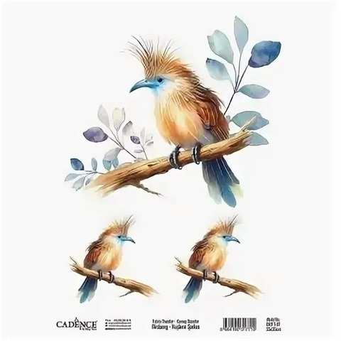 трансфер BRET-07 (25*35) Cadence