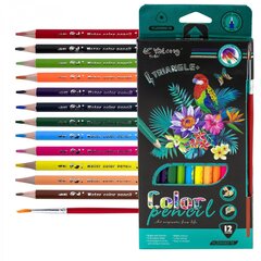 Карандаши цветные акварельные Yalong 12 цв., "Birds" деревянные, трехгранные, заточенные, кисть, грифель 3.0 мм, картон. уп., европодвес