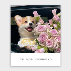 Фото-карточка 