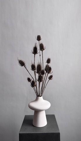 Ворсянка натуральная