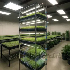 Многоярусный гидропонный стеллаж 5 ярусов 2500х1250х600мм до 300 растений