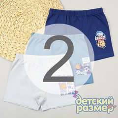 2 (3-4 года)