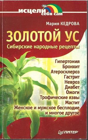 Золотой ус. Сибирские народные рецепты