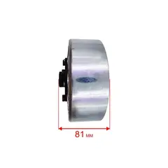 Якорь DDE DPG5551i со стороны глушителя (5551-5900-0000)