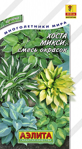 Хоста Микси, смесь окрасок (Аэлита)