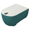 ArtCeram THV001 43 00 Акция ArtCeram  The One  Унитаз подвесной Rimless 35x52 см, цвет foresta (Не производится)