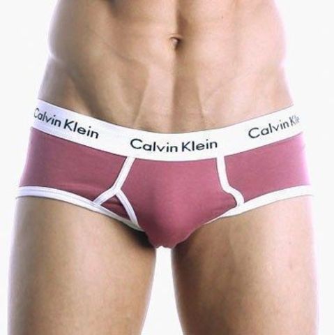 Мужские трусы брифы светл.фиолет Calvin Klein 365 Violet Brief CK10208