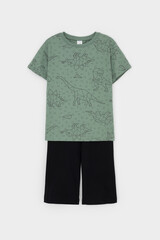 пижама  для мальчика  К 1614/динозавры на зеленом,черный