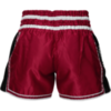 Шорты для тайского бокса Hardcore Training Base 2.0 Burgundy