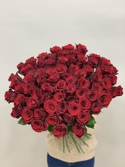 Букет 75 красных роз Эквадор 60см в ленте