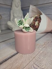 Силиконовая форма 