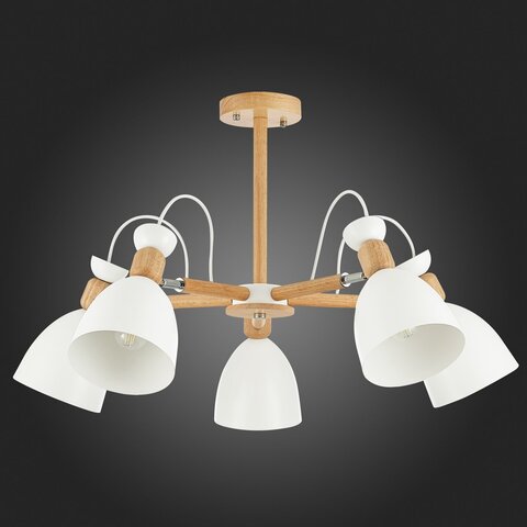 Люстра потолочная Evoluce Balcamo SLE103802-05