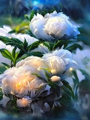 Кулирка Белый пион купон 77см 180г/м ш180см компакт Пенье