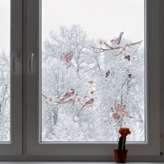 Сумеречный сад