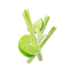 STARLINE - Trawa cytrynowa (250g)