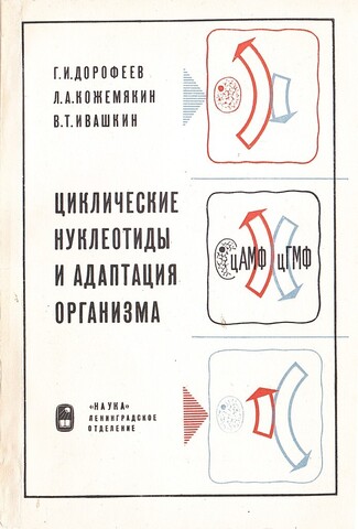 Циклические нуклеотиды и адаптация организма