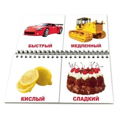 Вундеркинд с пеленок. Книга-пазл"Противоположности"