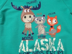 Sweet Berry Толстовка 