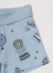 Детские мужские боксеры E25K-73B101