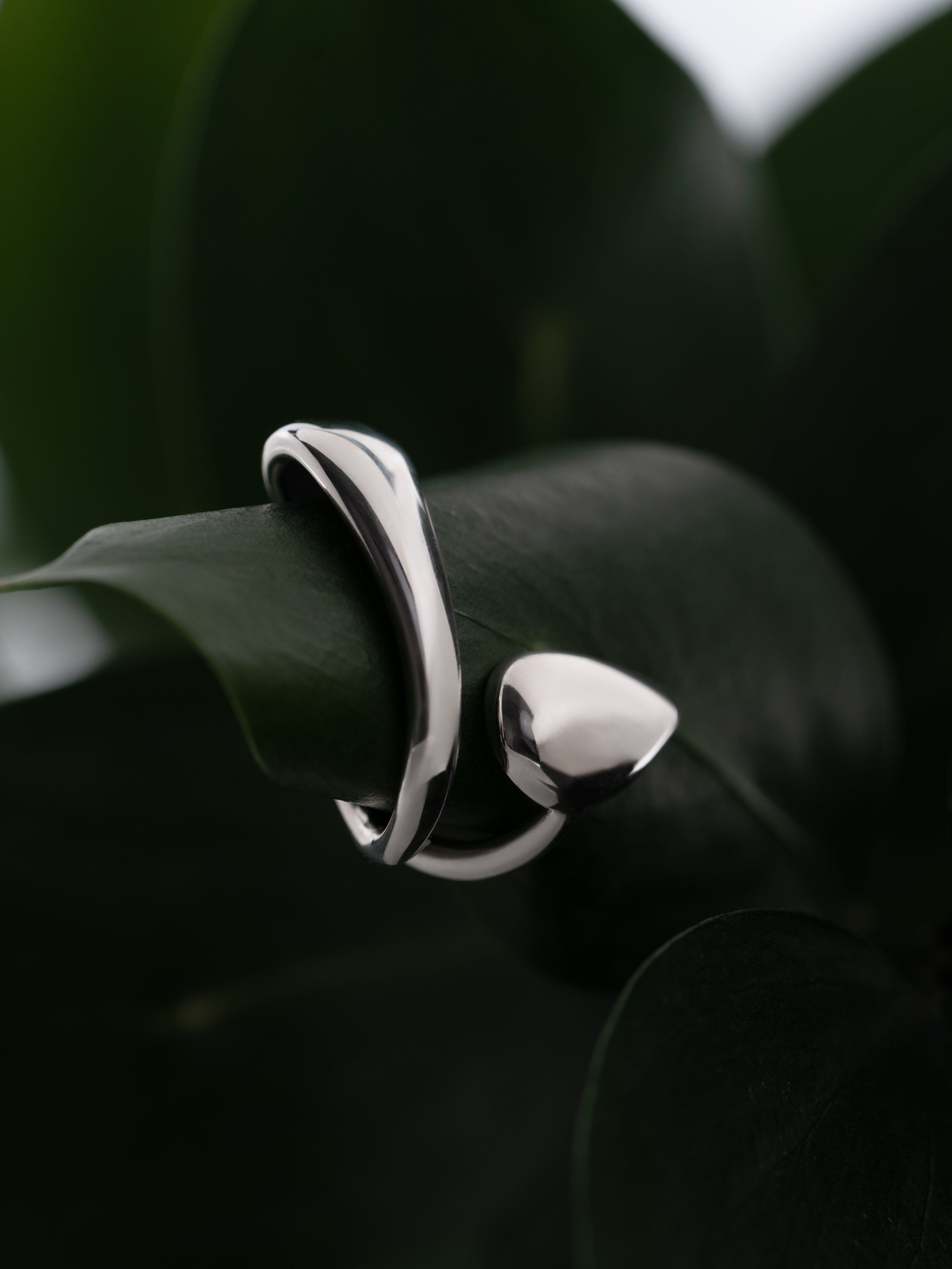 Кафф Салубри