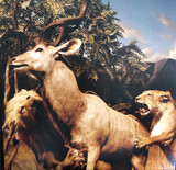 INTERPOL: Our Love To Admire (Виниловая пластинка)